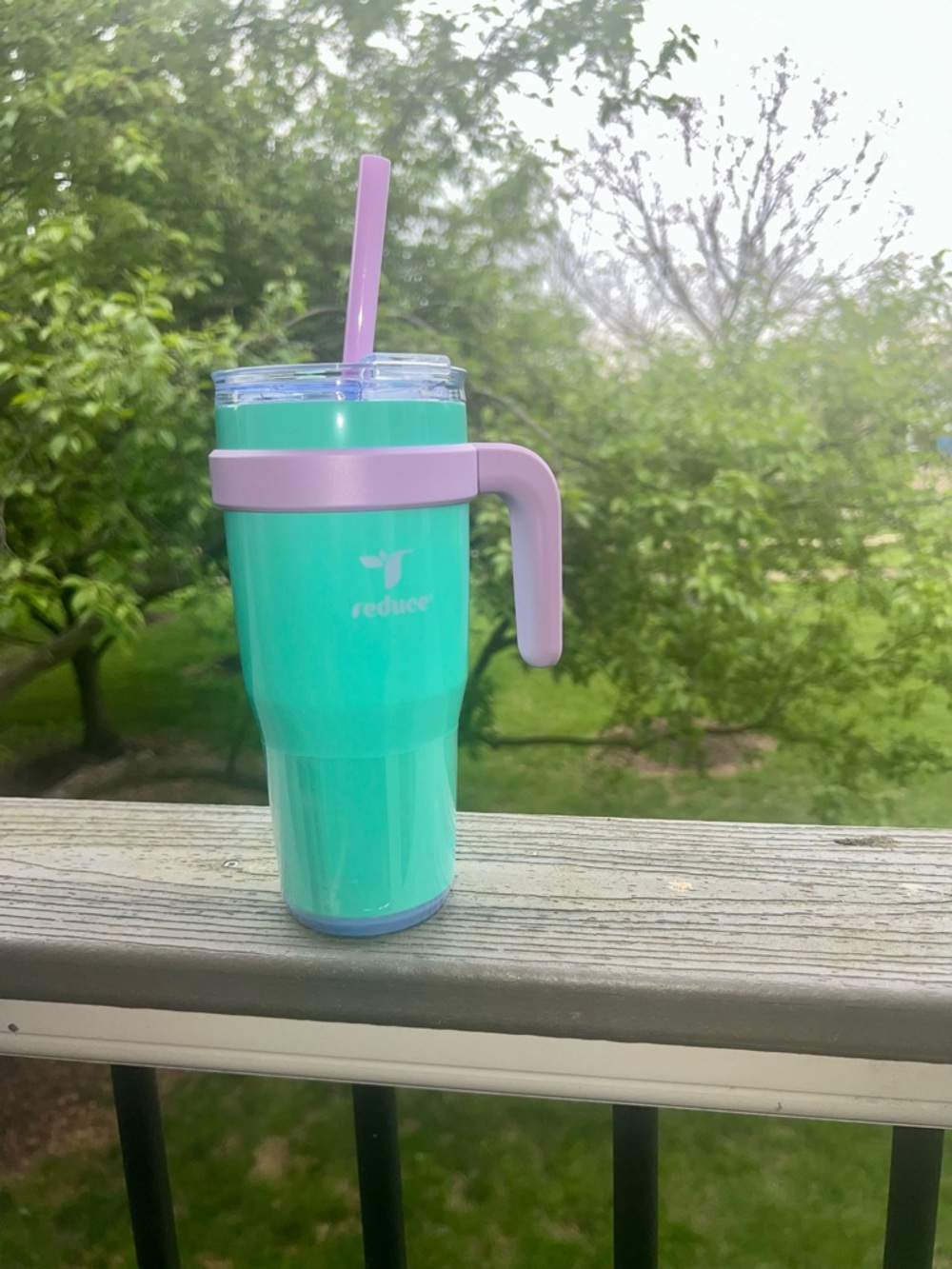 Reduce Turquoise & Lavender Insulated Tumbler with Handle and Straw